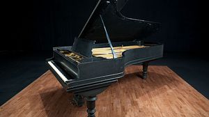 Steinway pianos for sale: 1893 Steinway Victorian D - $232,800
