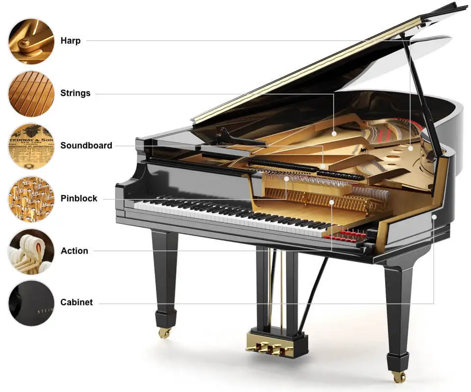 Steinway piano with a cross section cut out revealing the inner parts of the Steinway piano, which are all labeled.