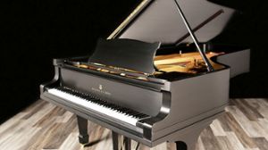Steinway pianos for sale: 1925 Hamburg Steinway Grand D - $113,100