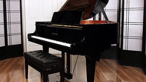  pianos for sale: 2009 Kawai Baby Grand - $18,000