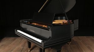 Mason and Hamlin pianos for sale: 1920 Mason and Hamlin Grand AA - $51,200
