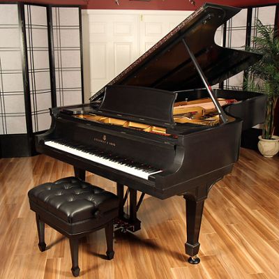 Steinway pianos for sale: 1919 Steinway D - $85,000