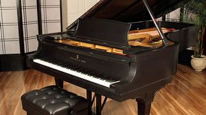 Steinway pianos for sale: 1919 Steinway D - $85,000