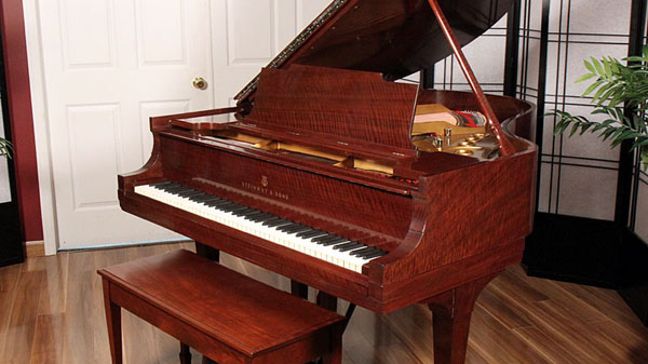 <span>1921</span> Steinway M