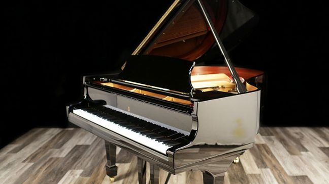 <span>2020</span> Steinway M