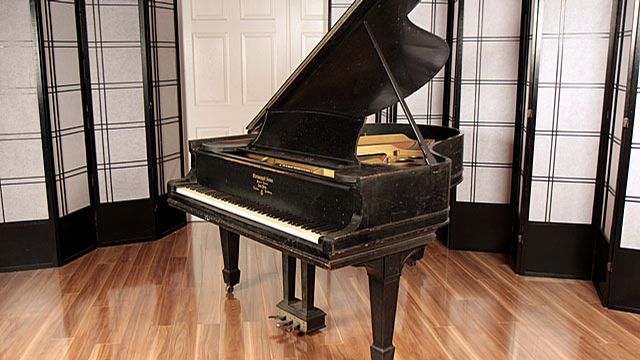 <span>1905</span> Steinway O