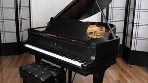 Steinway pianos for sale: 1924 Hamburg Steinway O - $40,000