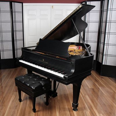 Steinway pianos for sale: 1924 Hamburg Steinway O - $53,200
