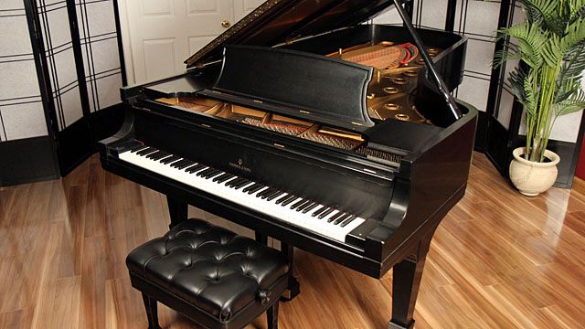 <span>1979</span> Steinway D