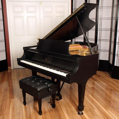 Steinway pianos for sale: 1981 Steinway M - $   0