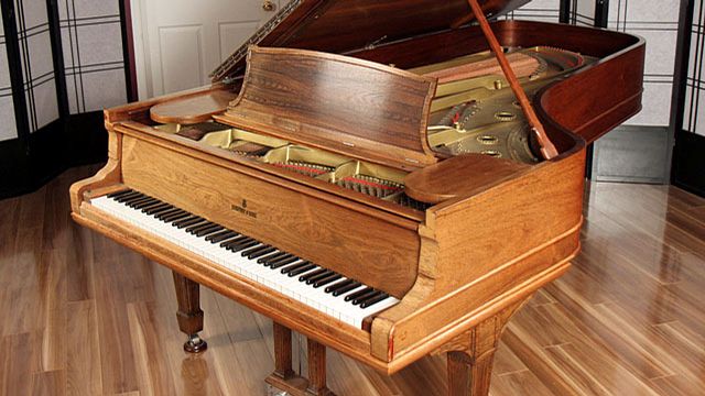 <span>1883</span> Steinway D