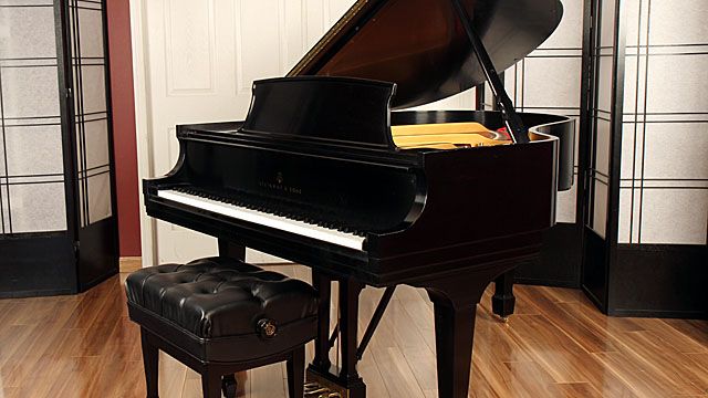 <span>1995</span> Steinway M