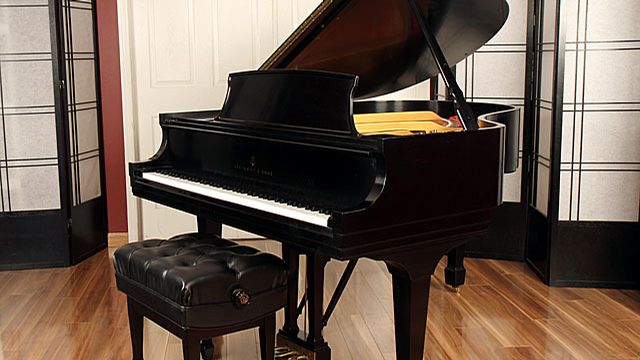 <span>1995</span> Steinway M