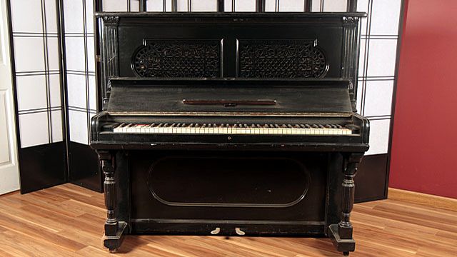 <span>1893</span> Steinway I