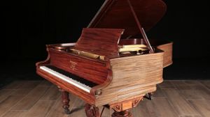 Steinway pianos for sale: 1904 Steinway Grand A - $24,900