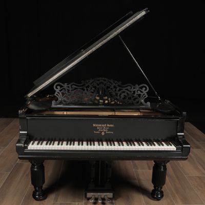 Steinway pianos for sale: 1889 Steinway Victorian A - $34,500