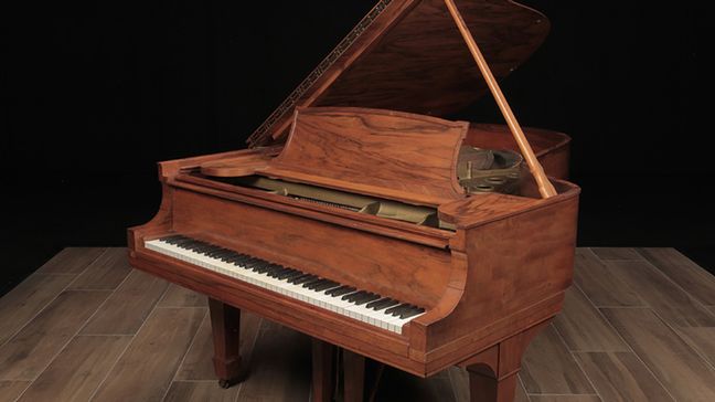 <span>1906</span> Steinway B