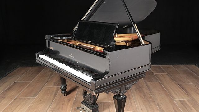 <span>1908</span> Steinway B