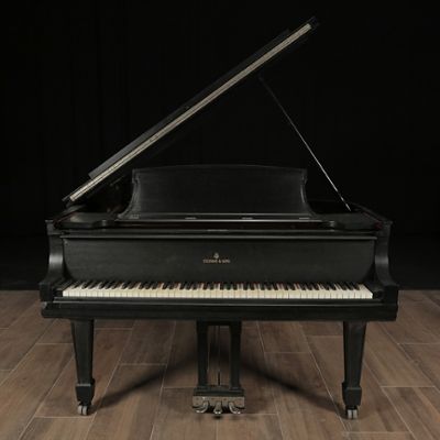 Steinway pianos for sale: 1927 Steinway Grand B - $58,000
