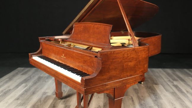 Steinway B
