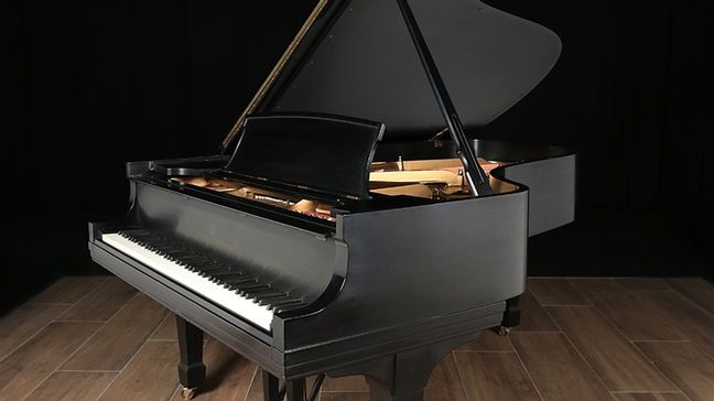 <span>1979</span> Steinway B