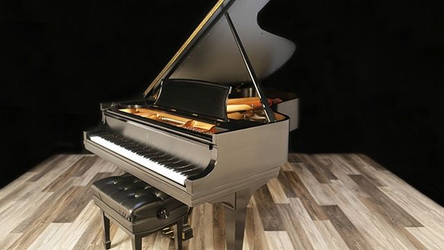 <span>1981</span> Steinway B