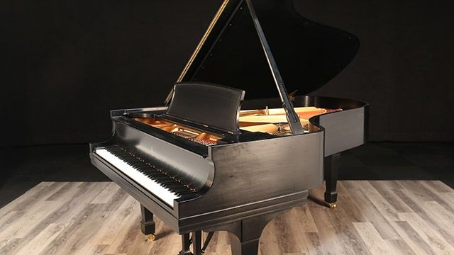 <span>1984</span> Steinway B