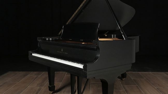 <span>1988</span> Steinway B