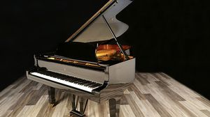 Steinway pianos for sale: 1973 Steinway Hamburg Grand C - $65,000