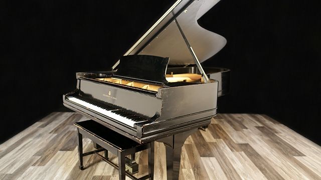 <span>1893</span> Steinway C