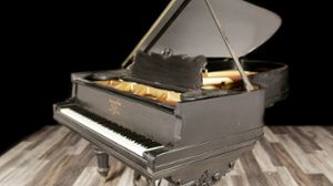 Steinway pianos for sale: 1899 Steinway Grand C - $166,300