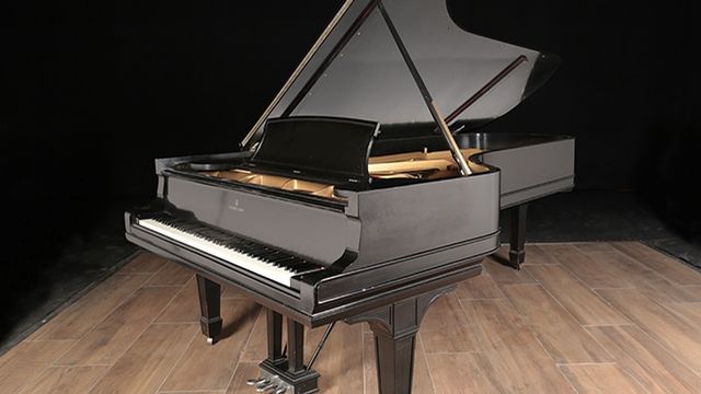 <span>1909</span> Steinway D