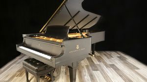 Steinway pianos for sale: 1918 Steinway Grand D - $118,400