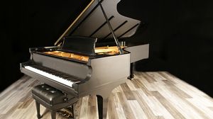 Steinway pianos for sale: 1995 Steinway Grand D - $104,800