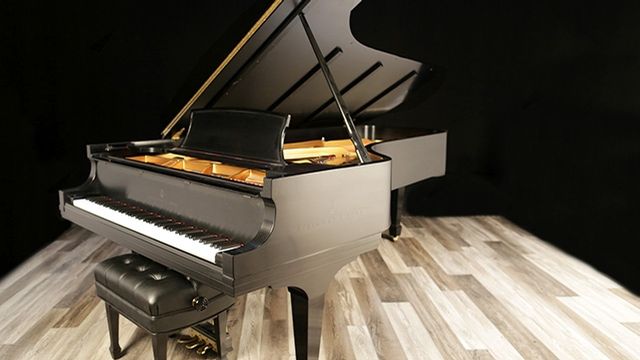 <span>1995</span> Steinway D