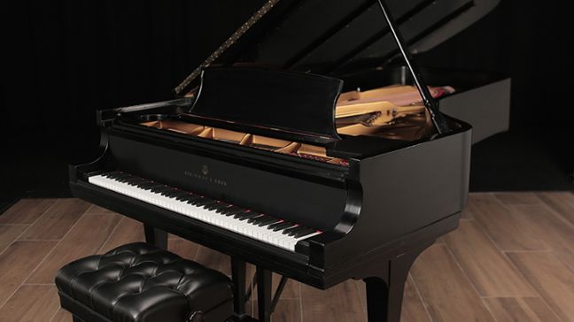 <span>1996</span> Steinway D