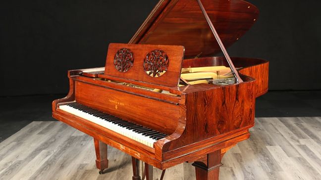 <span>1919</span> Steinway B