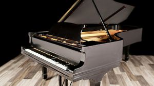 Steinway pianos for sale: Hamburg Steinway Grand D - $85,000
