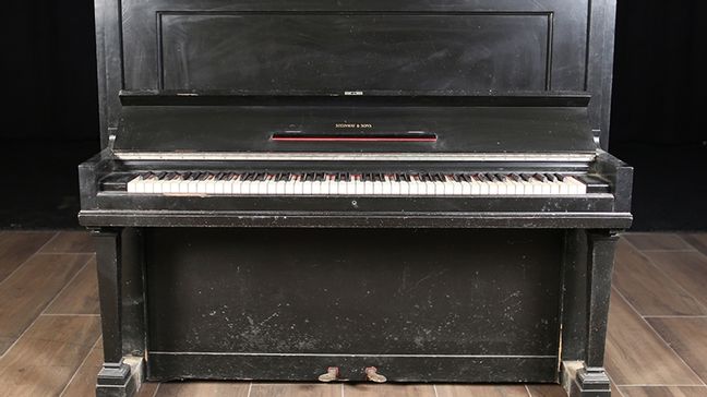 <span>1913</span> Steinway K