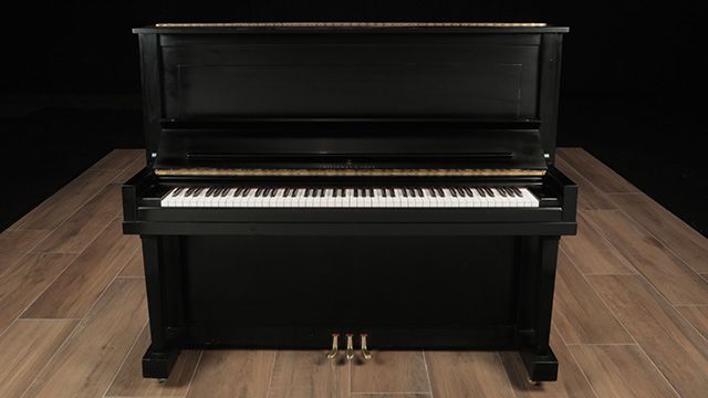 <span>1991</span> Steinway K
