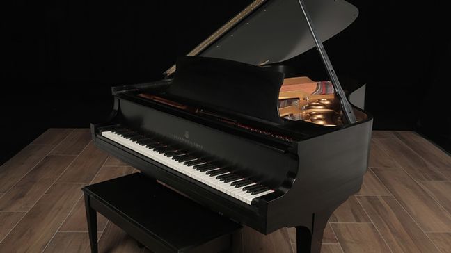 <span>1981</span> Steinway L