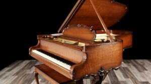 Steinway pianos for sale: 1929 Steinway Grand B - $166,300