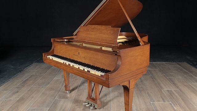 <span>1913</span> Steinway M