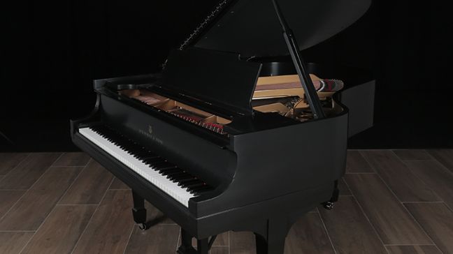 <span>1917</span> Steinway M