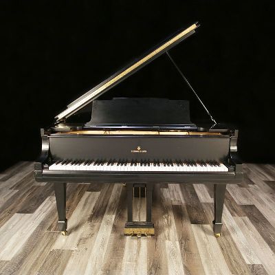 Steinway pianos for sale: 1919 Steinway Grand M - $   0