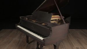 Steinway pianos for sale: 1920 Steinway Grand M - $36,500