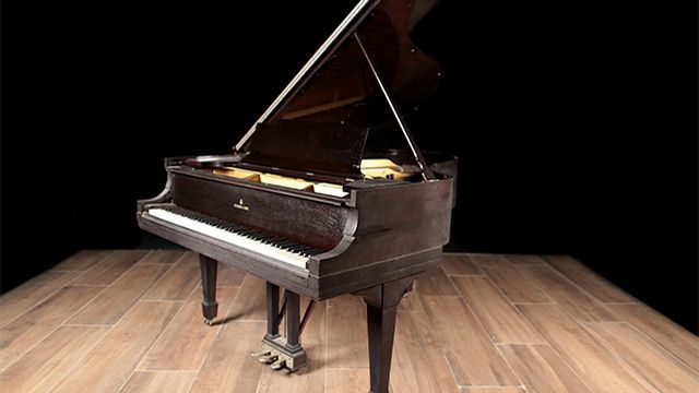 <span>1920</span> Steinway M