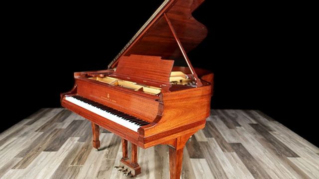 <span>1923</span> Steinway M