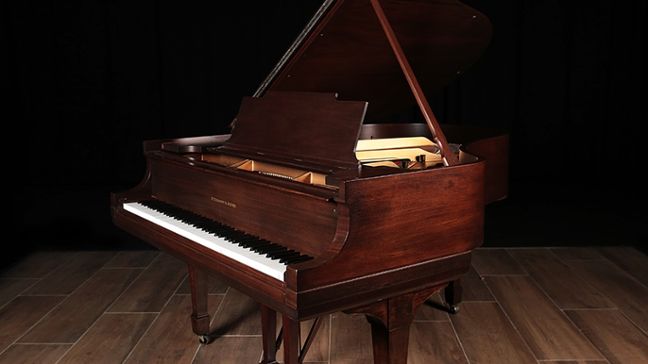 <span>1923</span> Steinway M
