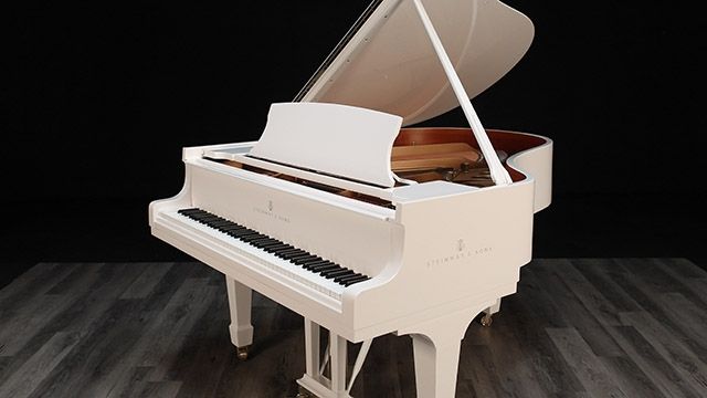 <span>1924</span> Steinway M